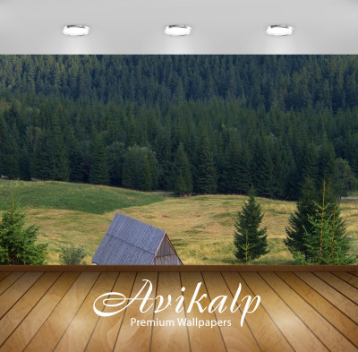 

Avikalp Nature Wallpaper(60.96 cm X 91.44 cm)