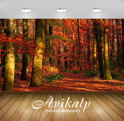 

Avikalp Nature Wallpaper(60.96 cm X 91.44 cm)