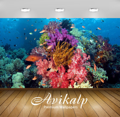 

Avikalp Nature Wallpaper(60.96 cm X 91.44 cm)