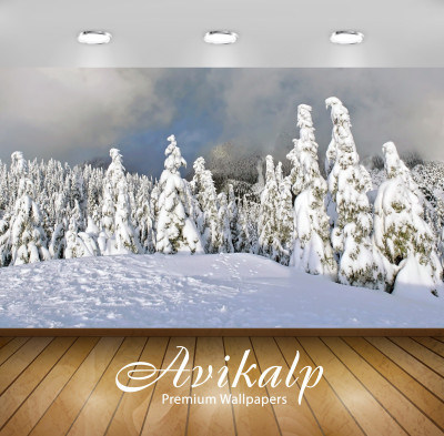 

Avikalp Nature Wallpaper(60.96 cm X 91.44 cm)