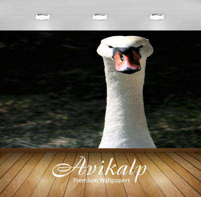 Avikalp Nature Wallpaper(60.96 cm X 91.44 cm)