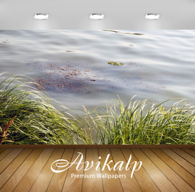 

Avikalp Nature Wallpaper(60.96 cm X 91.44 cm)