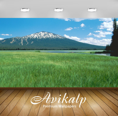 

Avikalp Nature Wallpaper(60.96 cm X 91.44 cm)