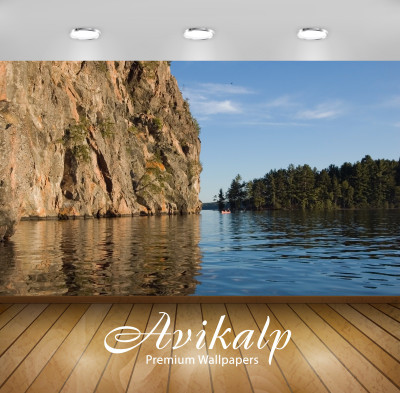

Avikalp Nature Wallpaper(60.96 cm X 91.44 cm)