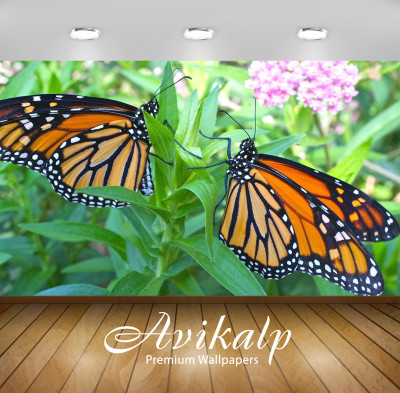 

Avikalp Nature Wallpaper(60.96 cm X 91.44 cm)