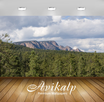 

Avikalp Nature Wallpaper(60.96 cm X 91.44 cm)