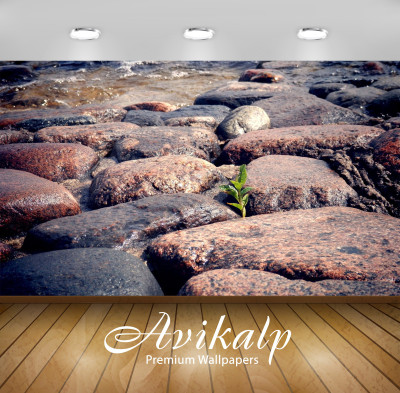 

Avikalp Nature Wallpaper(60.96 cm X 91.44 cm)