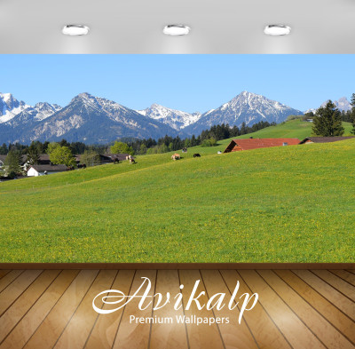 

Avikalp Nature Wallpaper(60.96 cm X 91.44 cm)