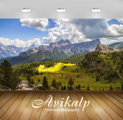 

Avikalp Nature Wallpaper(60.96 cm X 91.44 cm)