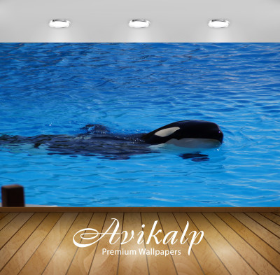 

Avikalp Nature Wallpaper(60.96 cm X 91.44 cm)