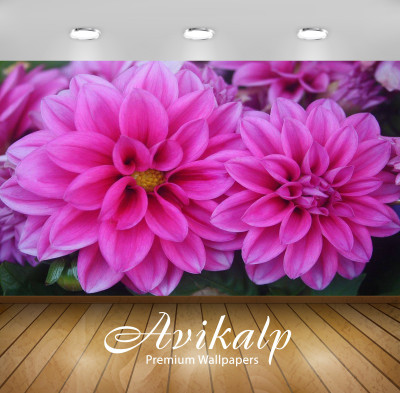 

Avikalp Nature Wallpaper(60.96 cm X 91.44 cm)