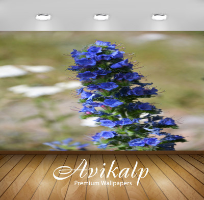 Avikalp Nature Wallpaper(60.96 cm X 91.44 cm)