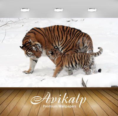 

Avikalp Nature Wallpaper(60.96 cm X 91.44 cm)