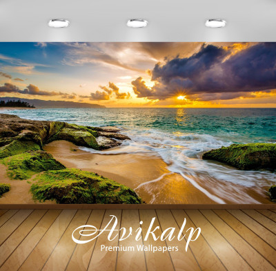 

Avikalp Nature Wallpaper(60.96 cm X 91.44 cm)