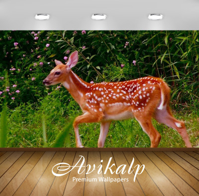 

Avikalp Nature Wallpaper(60.96 cm X 91.44 cm)
