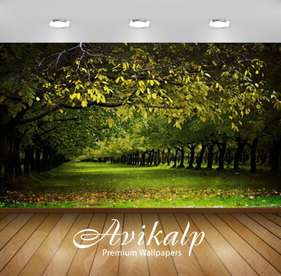 

Avikalp Nature Wallpaper(60.96 cm X 91.44 cm)