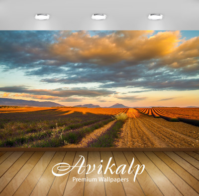

Avikalp Nature Wallpaper(60.96 cm X 91.44 cm)
