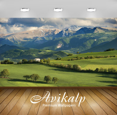 

Avikalp Nature Wallpaper(60.96 cm X 91.44 cm)
