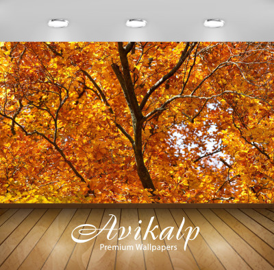 

Avikalp Nature Wallpaper(60.96 cm X 91.44 cm)
