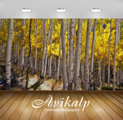 

Avikalp Nature Wallpaper(60.96 cm X 91.44 cm)