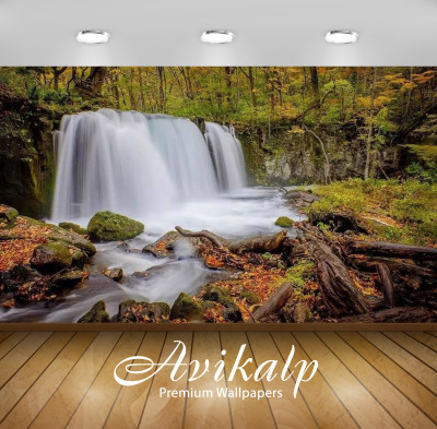 

Avikalp Nature Wallpaper(60.96 cm X 91.44 cm)