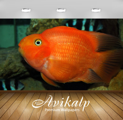 

Avikalp Nature Wallpaper(60.96 cm X 91.44 cm)