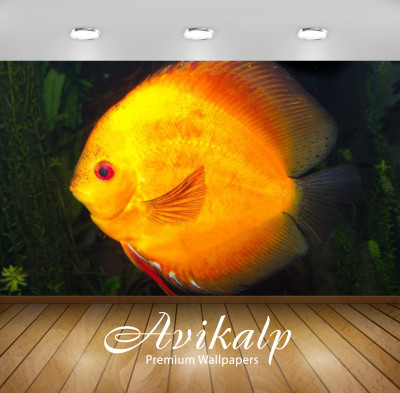 

Avikalp Nature Wallpaper(60.96 cm X 91.44 cm)