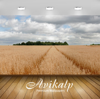 

Avikalp Nature Wallpaper(60.96 cm X 91.44 cm)