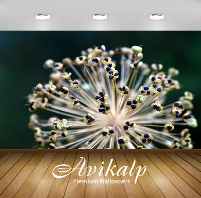 

Avikalp Art & Paintings Wallpaper(60.96 cm X 91.44 cm)