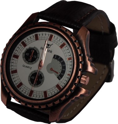Hidelink WS1012 Watch  - For Men   Watches  (Hidelink)