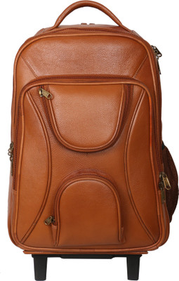 

C Comfort 15 inch Trolley Laptop Strolley Bag(Tan)