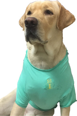 

Wagging Fashion T-shirt for Dog(Light Green)