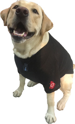 

Wagging Fashion T-shirt for Dog(Black)