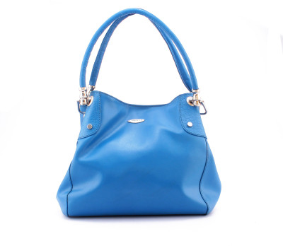 

LASALLE Women Casual Blue Genuine Leather Hand-held Bag