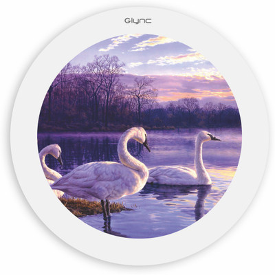 

GLYNC Picture Light Wall Lamp