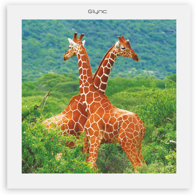 

GLYNC Picture Light Wall Lamp
