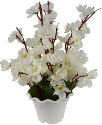 

paradise para-ros-73 White Magnolia Artificial Flower with Pot(12 inch, Pack of 1)