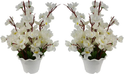 

paradise para-flw-t28793 White Magnolia Artificial Flower with Pot(35 inch, Pack of 2)
