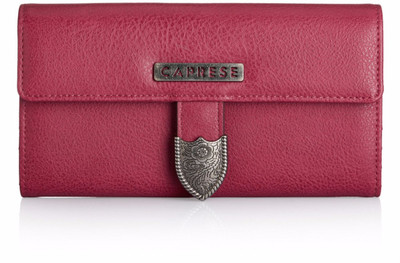 

Caprese Casual Pink Clutch