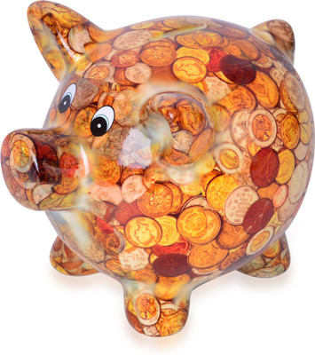 

Vaibhav 2883940 Coin Bank(Multicolor)