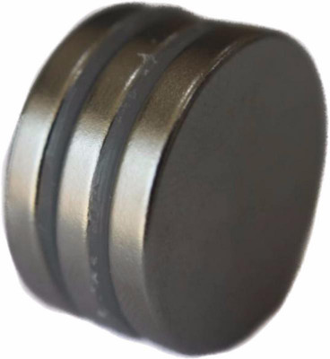 

PERFECT MAGNETS 20 mm x 3 mm Disc Multipurpose Office Magnets Pack of 3(Silver)
