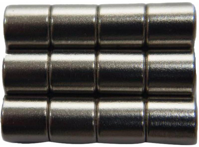 

PERFECT MAGNETS 8 mm x 8 mm Cylinder Multipurpose Office Magnets Pack of 12(Silver)