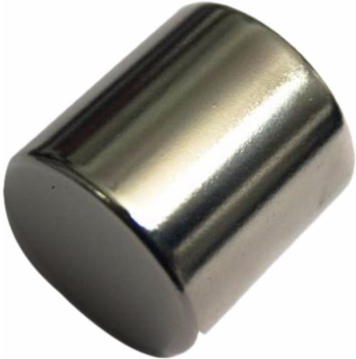 

PERFECT MAGNETS 25 mm x 25 mm Cylinder Multipurpose Office Magnets Pack of 1(Silver)