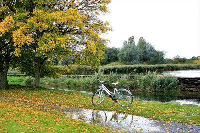 

cycling in morning Fine Art Print(12 inch X 18 inch)