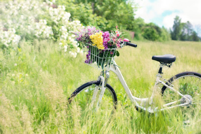 

bicycle with flower Fine Art Print(12 inch X 18 inch)