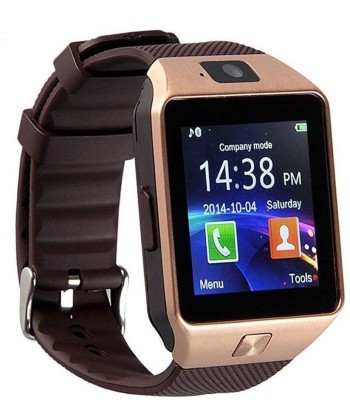 

om enterprise WS02 Smartwatch(Brown Strap Regular)