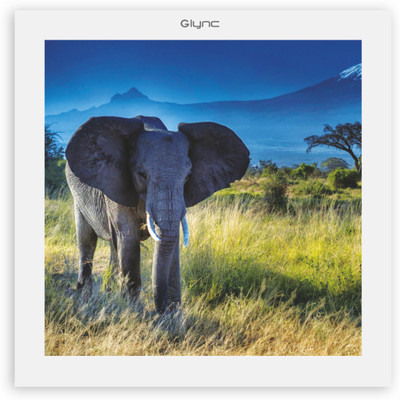 

GLYNC Picture Light Wall Lamp