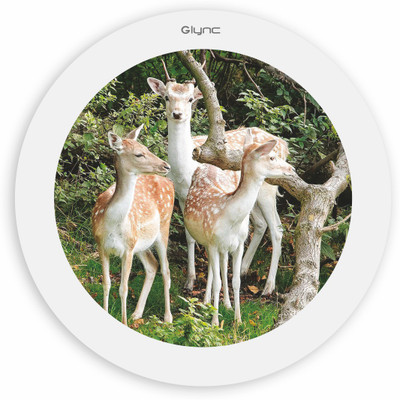 

GLYNC Picture Light Wall Lamp