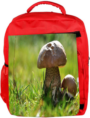 

Snoogg Eco Friendly Canvas Tiny Mushroom Designer Backpack Rucksack School Travel Unisex Casual Canvas Bag Bookbag Satchel 5 L Backpack(Red)