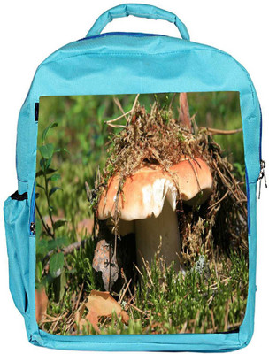 

Snoogg Eco Friendly Canvas Broken Mushroom Designer Backpack Rucksack School Travel Unisex Casual Canvas Bag Bookbag Satchel 5 L Backpack(Blue)